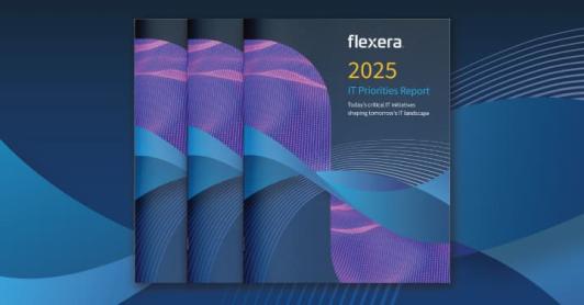 IT Priorities Report